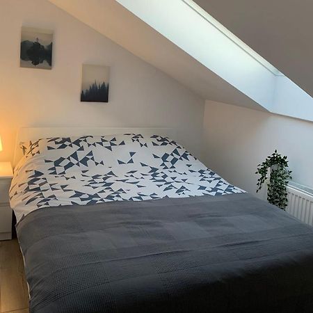 Apartament Pod Gwiazdami Διαμέρισμα Ostrów Wielkopolski Εξωτερικό φωτογραφία